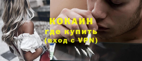стаф Алзамай