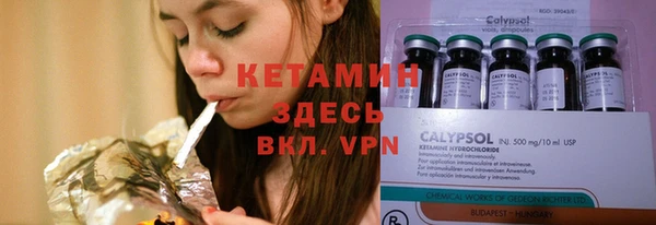 ешки Алексин