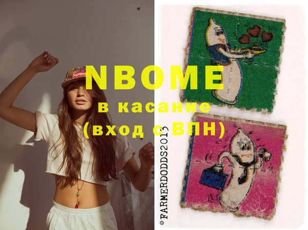 стаф Алзамай