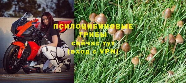 ешки Алексин