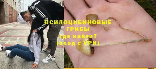 стаф Алзамай